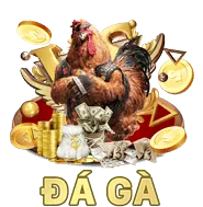 Trận đấu đá gà trực tiếp trên màn hình cá cược shbrt