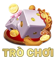 Hỗ trợ khuyến mãi shbrt